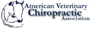 American Veterinary Chiropractic Association