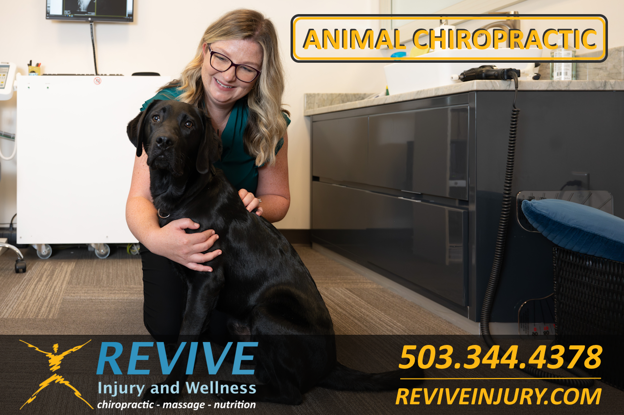 Revive Injury and Wellness West Linn, Oregon Animal Chiropractor Animal Chiropractic Care